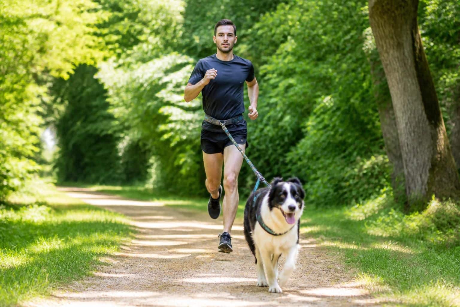 découvrez quelle race de chien est idéale pour débuter le canicross et partager des aventures sportives en pleine nature avec votre compagnon à quatre pattes.