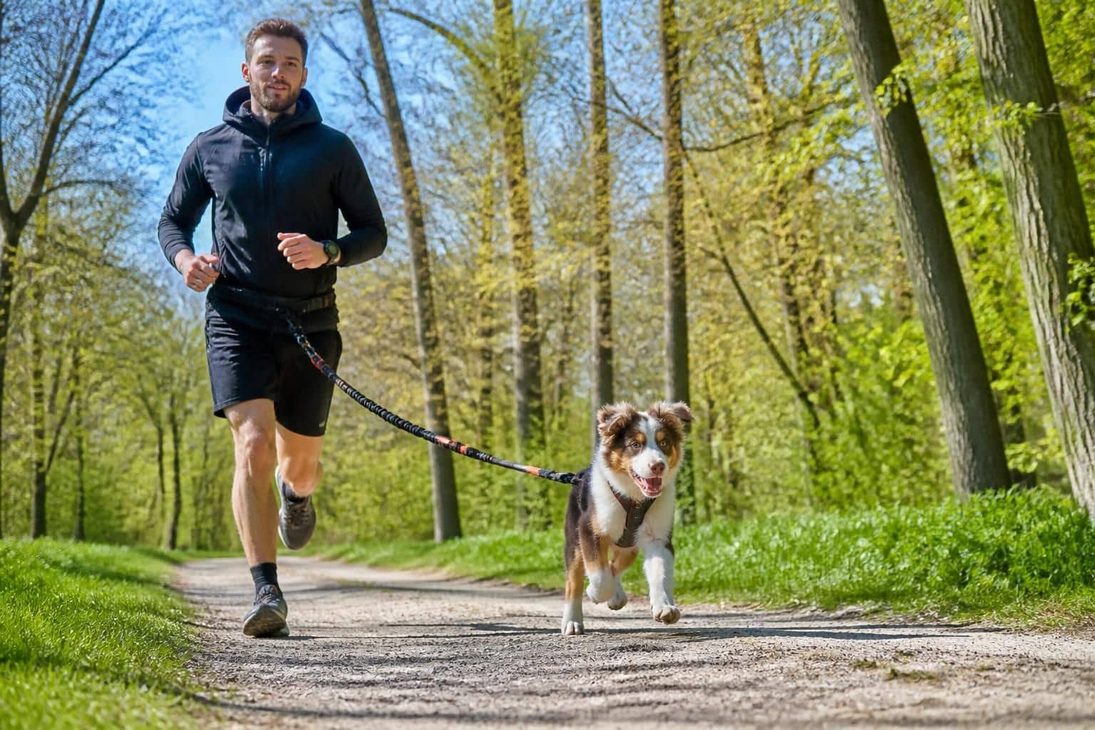 découvrez à quel âge il est sécuritaire de commencer le canicross avec votre chiot, pour une activité sportive adaptée et sans risque.