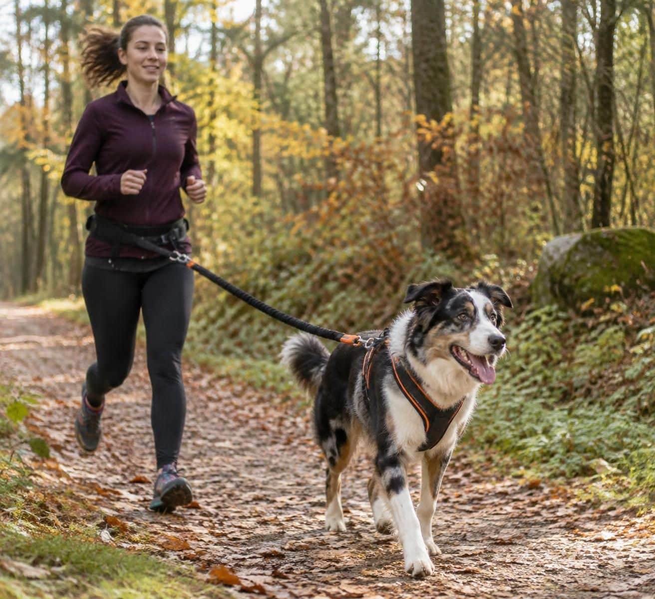 préparez votre chien à sa première course avec un plan simple sur 4 semaines : entraînement progressif, conseils pratiques et respect de son rythme.